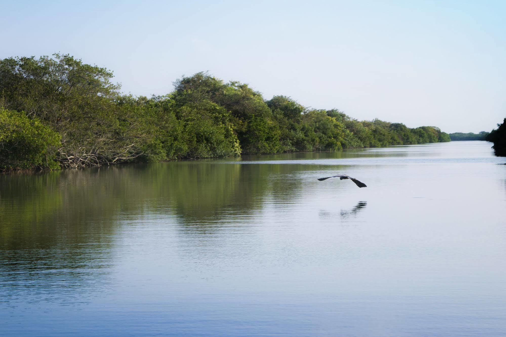 Isla Tajín Hotel Tuxpan  Bagian luar foto